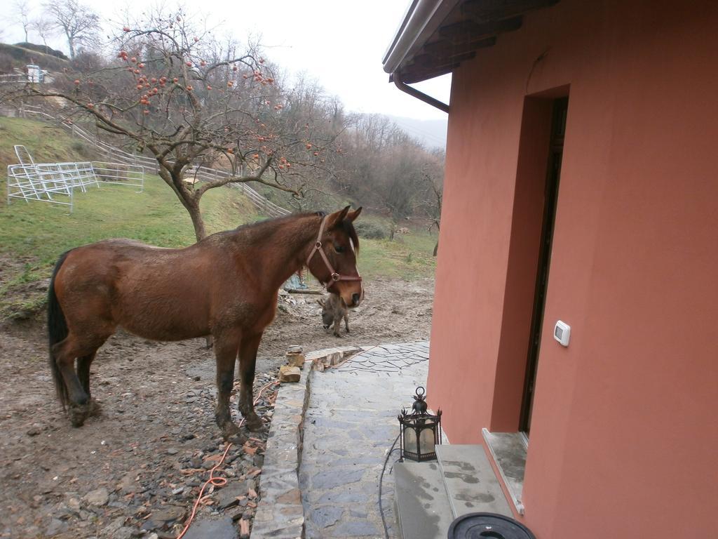 I Poggi Di Grace Bed & Breakfast ฟิวิซซาโน ภายนอก รูปภาพ